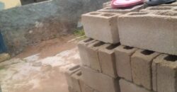 2 ROOMS AND PALOUR ON HALF PLOT OF LAND