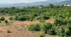 1000 PLOTS OF LAND