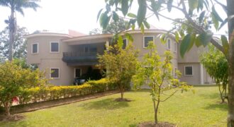 6 BEDROOM AND 3 PALOURS