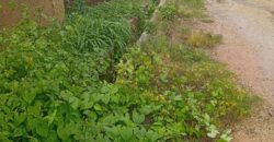 2 AND HALF PLOT OF LAND
