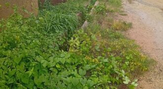 2 AND HALF PLOT OF LAND