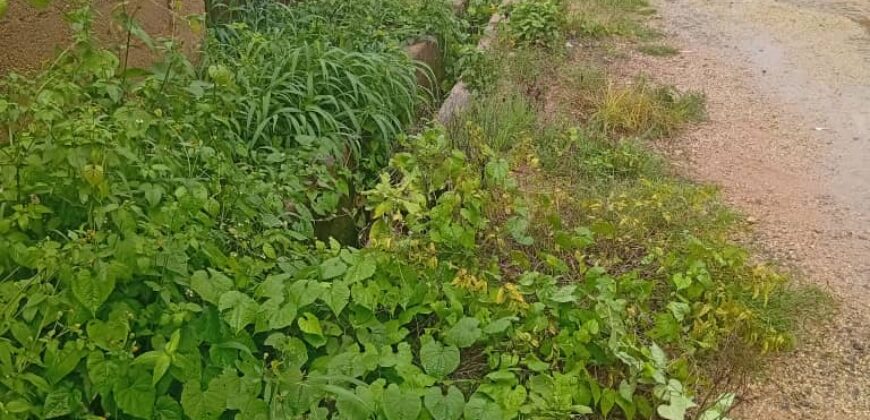 2 AND HALF PLOT OF LAND